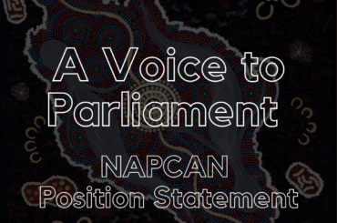 NAPCAN - Voice to Parliament